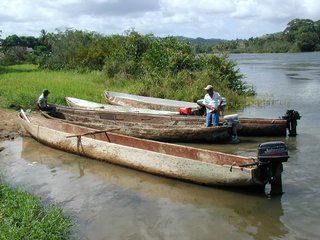 Dugout canoes on Lake Gatun