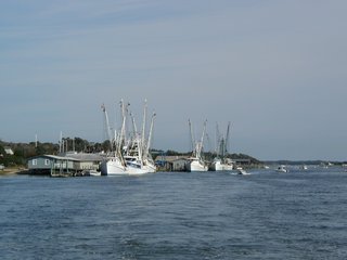 Shrimpers - again!